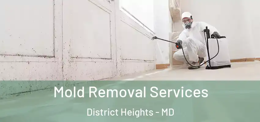 Mold Removal Services District Heights - MD