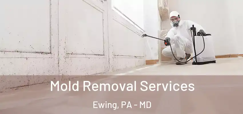 Mold Removal Services Ewing, PA - MD