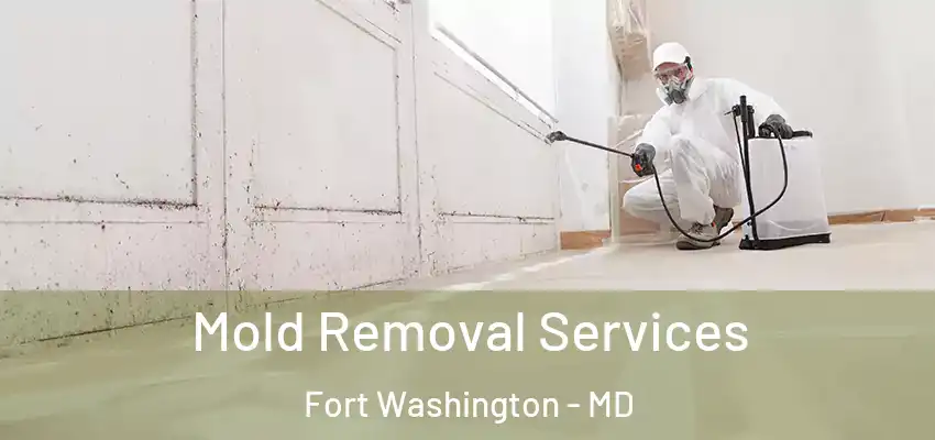  Mold Removal Services Fort Washington - MD