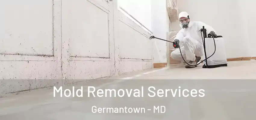 Mold Removal Services Germantown - MD