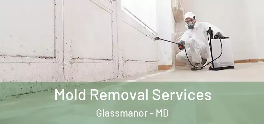 Mold Removal Services Glassmanor - MD