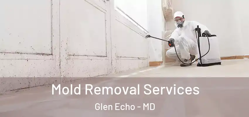 Mold Removal Services Glen Echo - MD