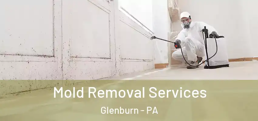  Mold Removal Services Glenburn - PA