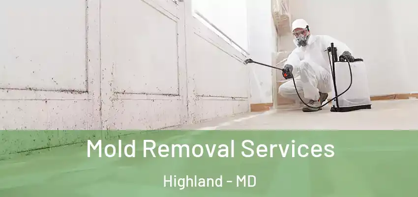  Mold Removal Services Highland - MD