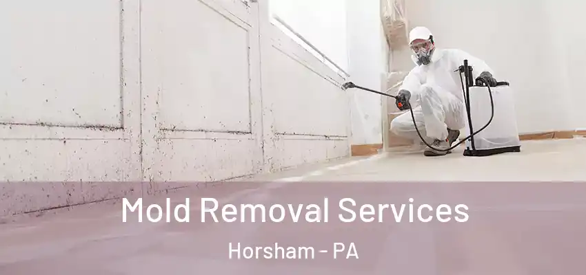 Mold Removal Services Horsham - PA