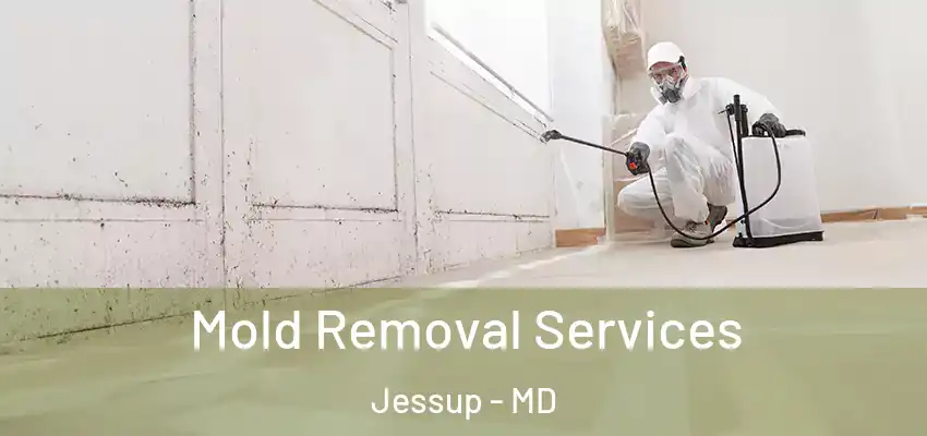 Mold Removal Services Jessup - MD