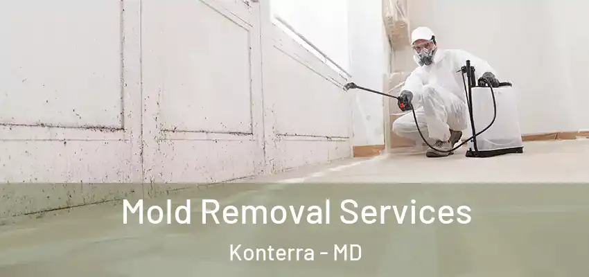 Mold Removal Services Konterra - MD