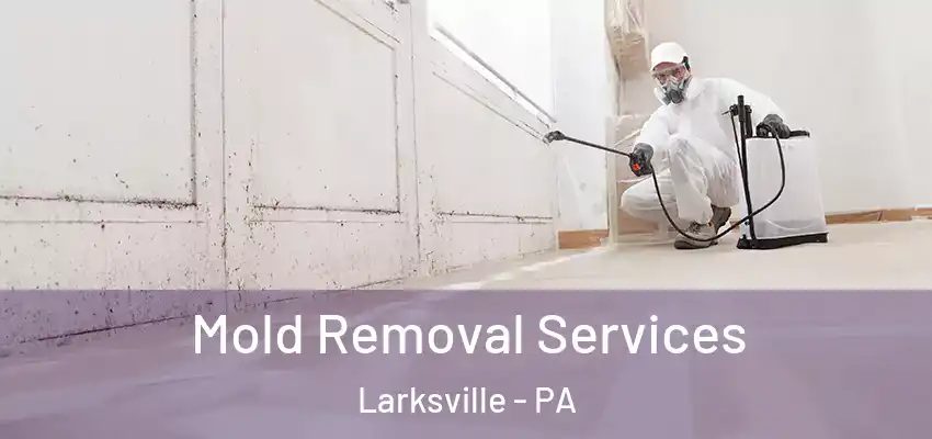 Mold Removal Services Larksville - PA