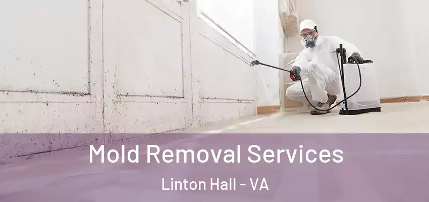 Mold Removal Services Linton Hall - VA