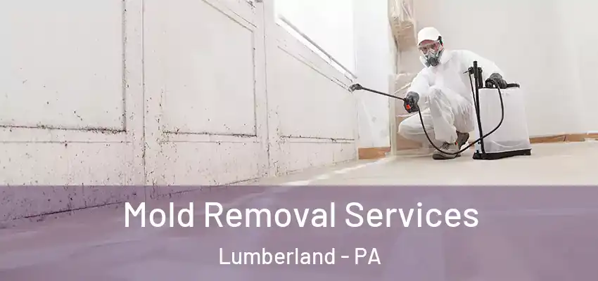 Mold Removal Services Lumberland - PA