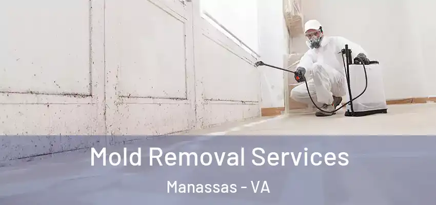 Mold Removal Services Manassas - VA
