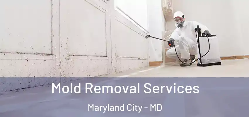 Mold Removal Services Maryland City - MD