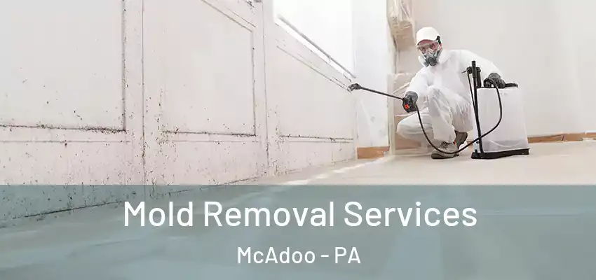 Mold Removal Services McAdoo - PA