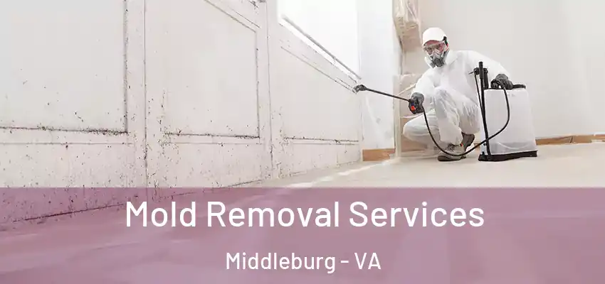 Mold Removal Services Middleburg - VA