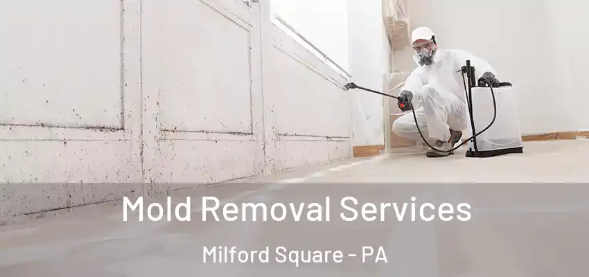Mold Removal Services Milford Square - PA