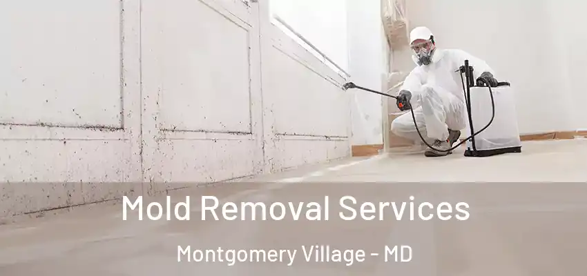  Mold Removal Services Montgomery Village - MD