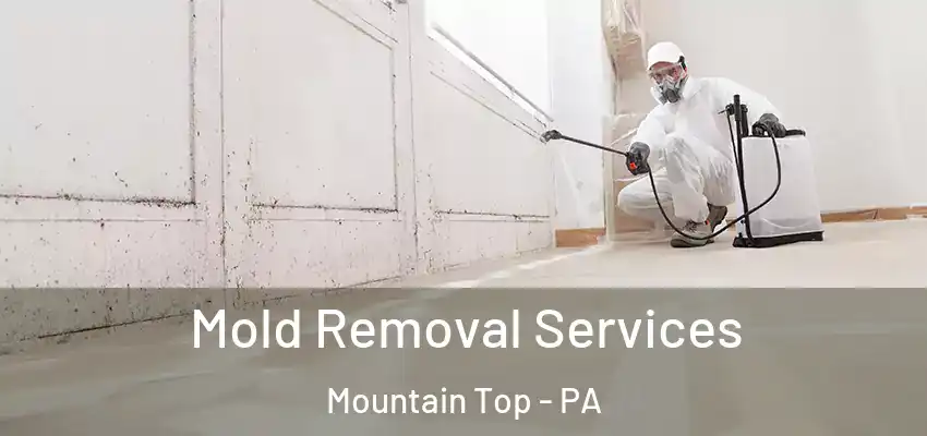 Mold Removal Services Mountain Top - PA