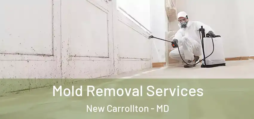 Mold Removal Services New Carrollton - MD