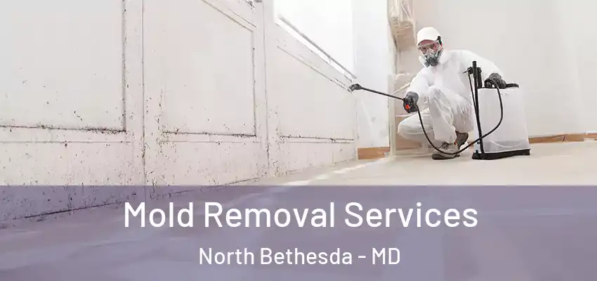Mold Removal Services North Bethesda - MD