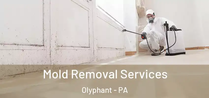  Mold Removal Services Olyphant - PA