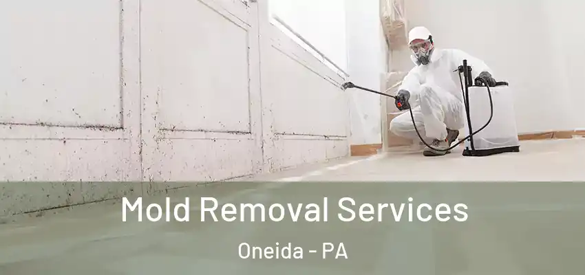 Mold Removal Services Oneida - PA