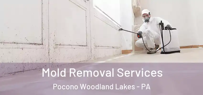 Mold Removal Services Pocono Woodland Lakes - PA
