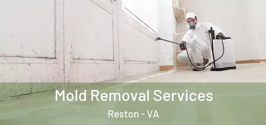  Mold Removal Services Reston - VA