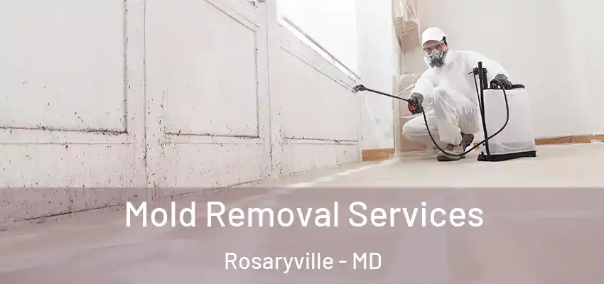 Mold Removal Services Rosaryville - MD