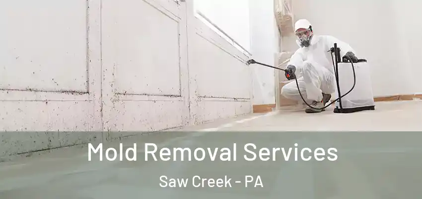 Mold Removal Services Saw Creek - PA