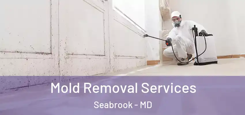 Mold Removal Services Seabrook - MD