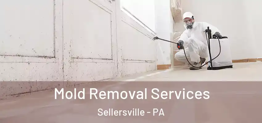  Mold Removal Services Sellersville - PA