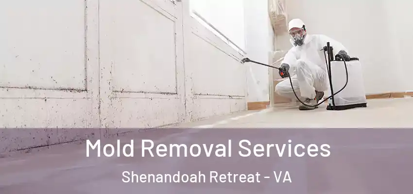  Mold Removal Services Shenandoah Retreat - VA