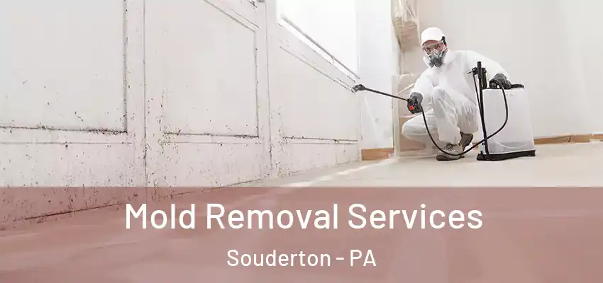 Mold Removal Services Souderton - PA