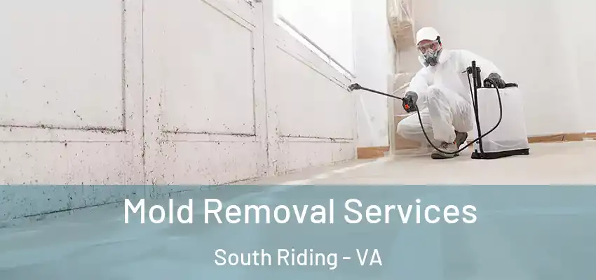  Mold Removal Services South Riding - VA