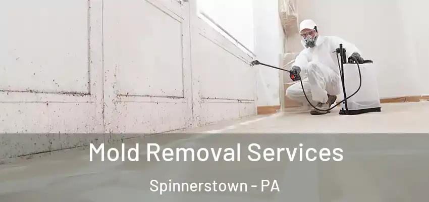  Mold Removal Services Spinnerstown - PA