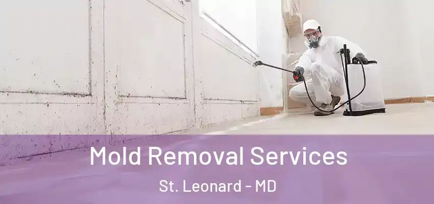 Mold Removal Services St. Leonard - MD