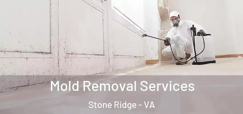 Mold Removal Services Stone Ridge - VA