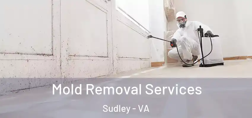 Mold Removal Services Sudley - VA