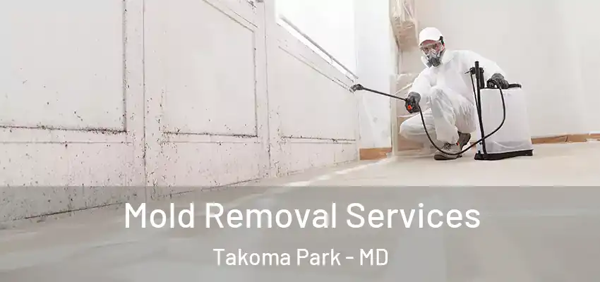 Mold Removal Services Takoma Park - MD