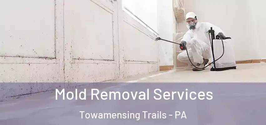 Mold Removal Services Towamensing Trails - PA
