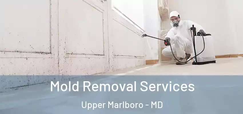  Mold Removal Services Upper Marlboro - MD