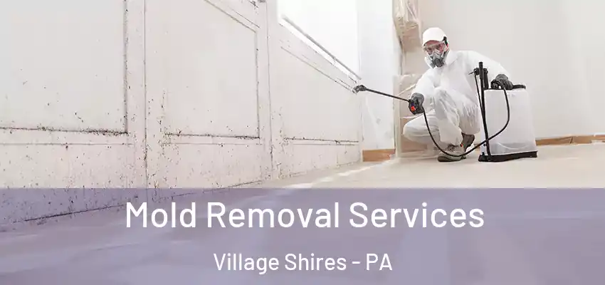 Mold Removal Services Village Shires - PA