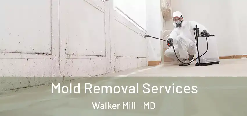 Mold Removal Services Walker Mill - MD