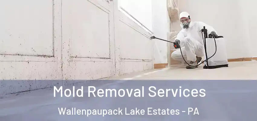 Mold Removal Services Wallenpaupack Lake Estates - PA