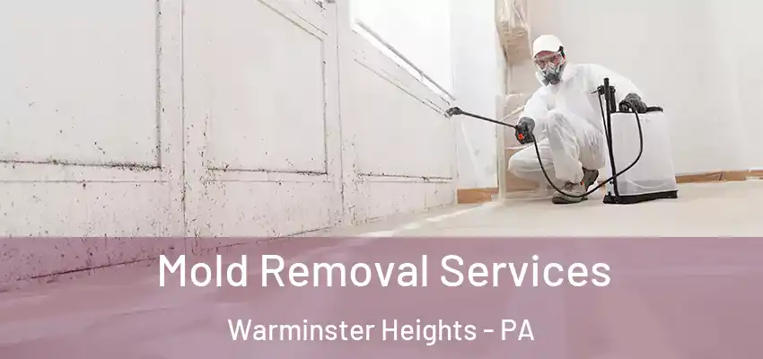  Mold Removal Services Warminster Heights - PA