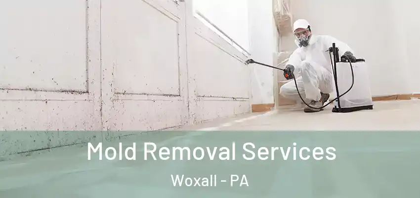 Mold Removal Services Woxall - PA