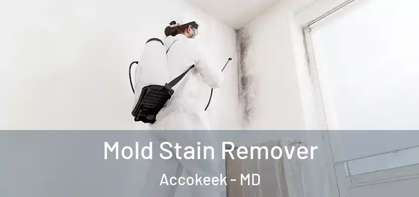  Mold Stain Remover Accokeek - MD