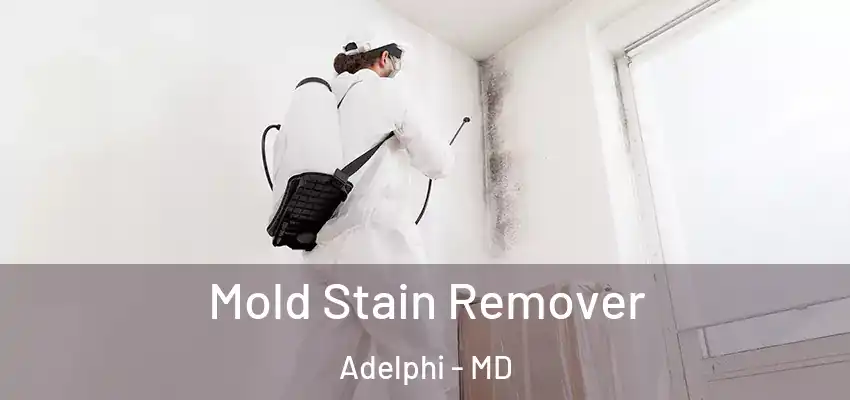  Mold Stain Remover Adelphi - MD
