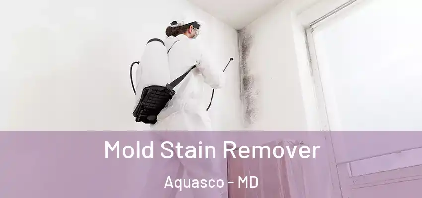 Mold Stain Remover Aquasco - MD