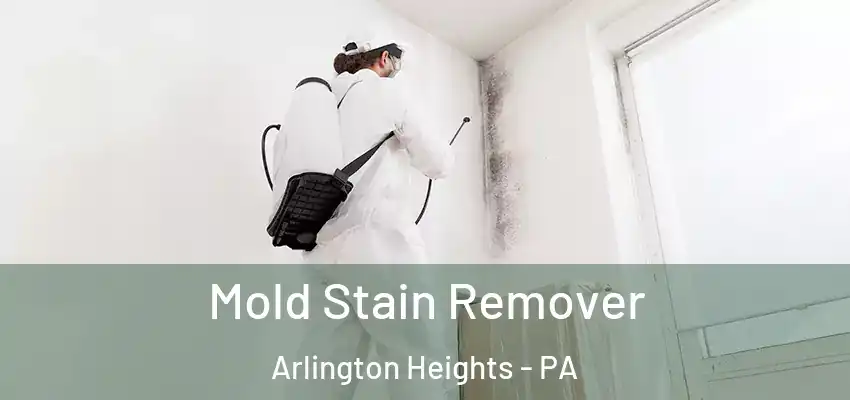  Mold Stain Remover Arlington Heights - PA